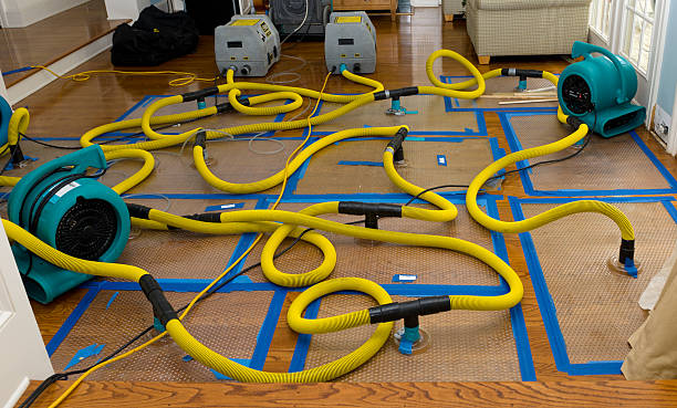 Professional Crawl Space Water Removal technician working in Truesdale, MO